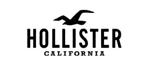 Hollister web sale
