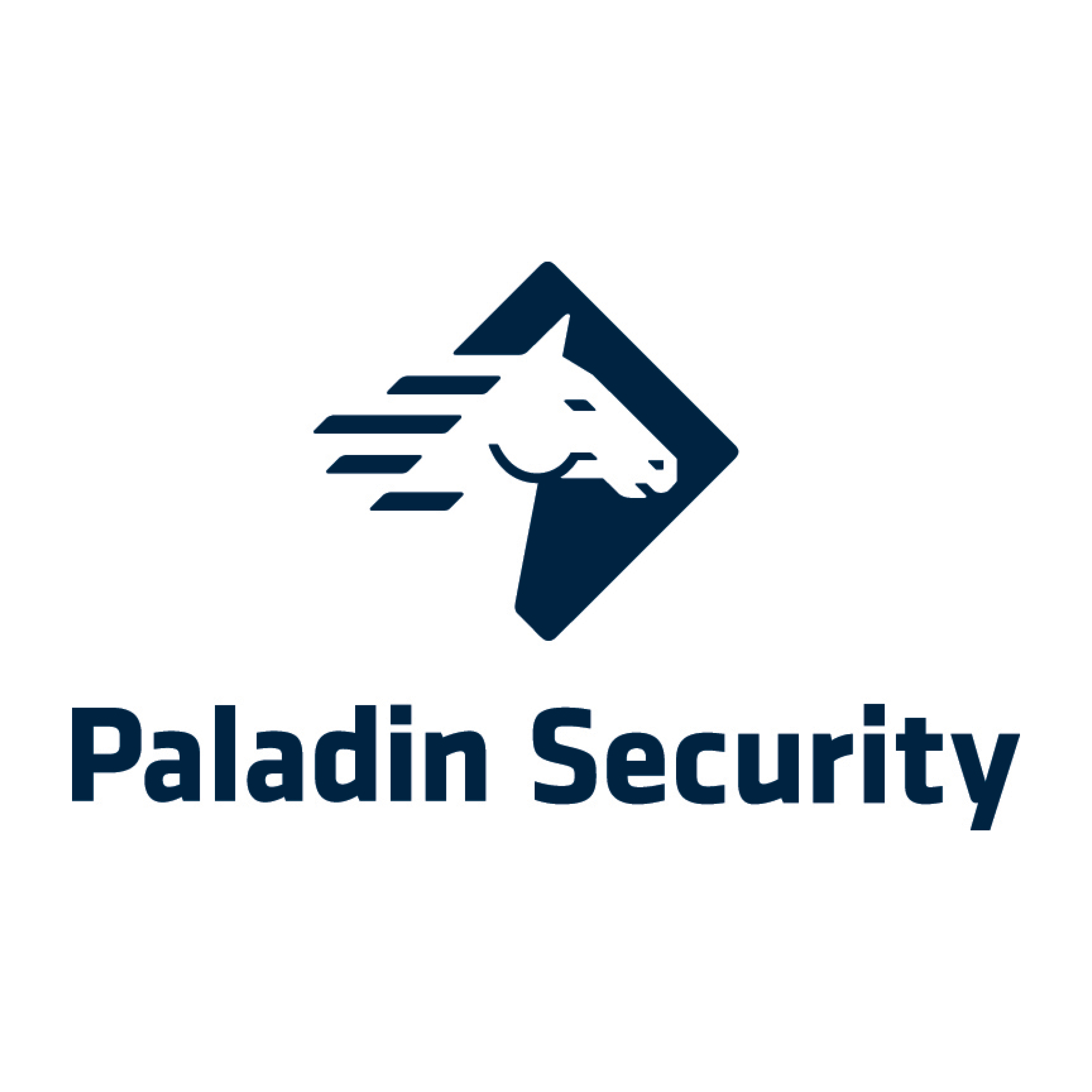 Paladin Security Group LTD