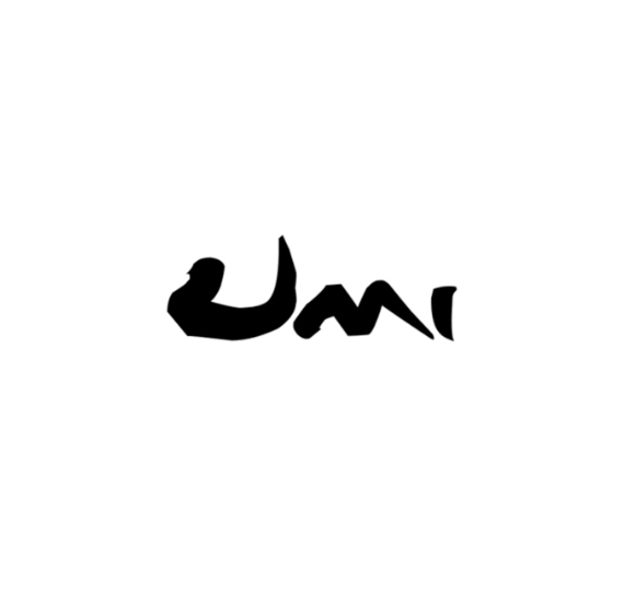 UMI SUSHI EXPRESS