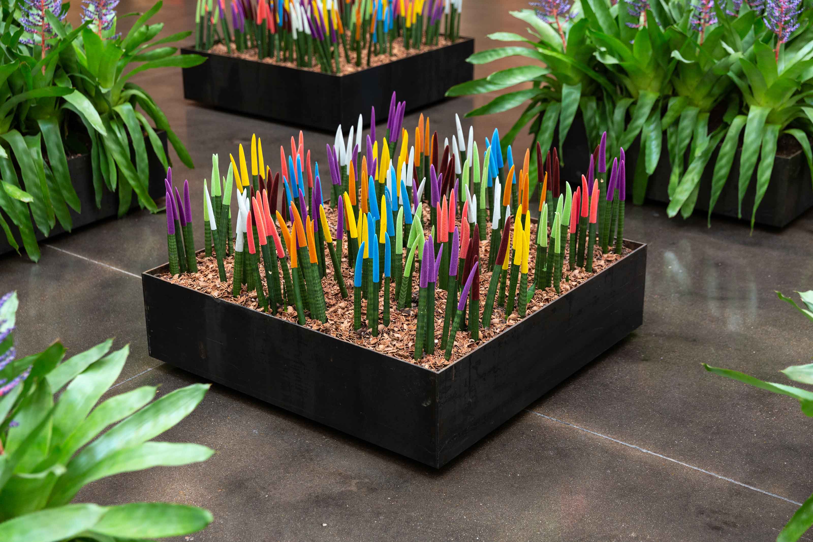 CenterPark at NorthPark Center (Dallas TX). Terraced flower beds