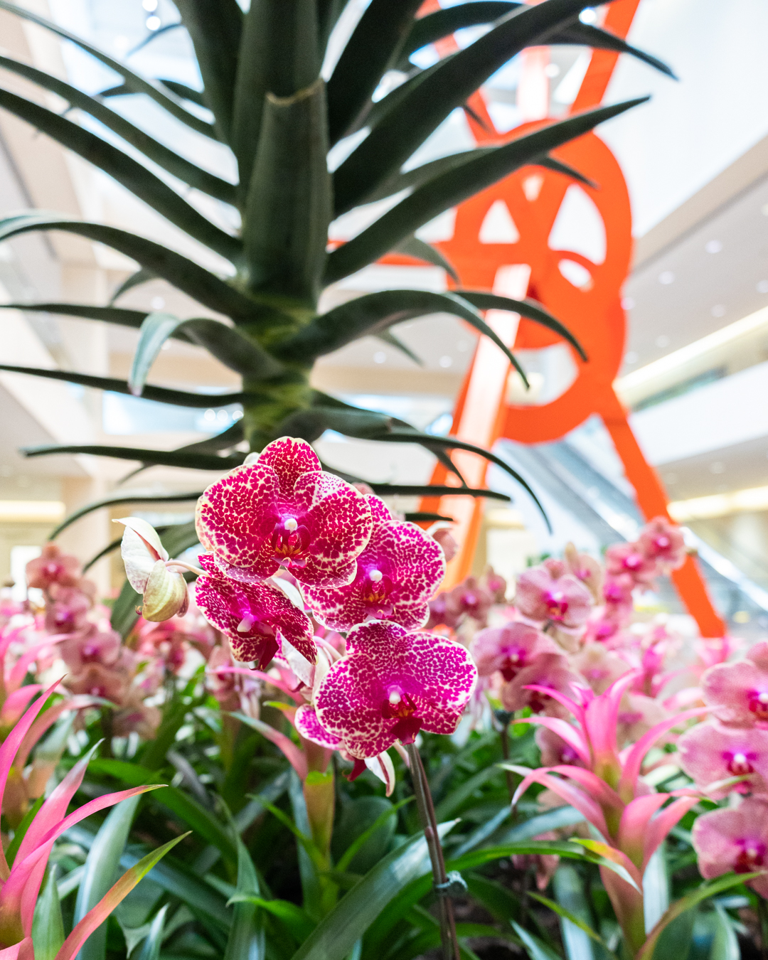 CenterPark at NorthPark Center (Dallas TX). Terraced flower beds