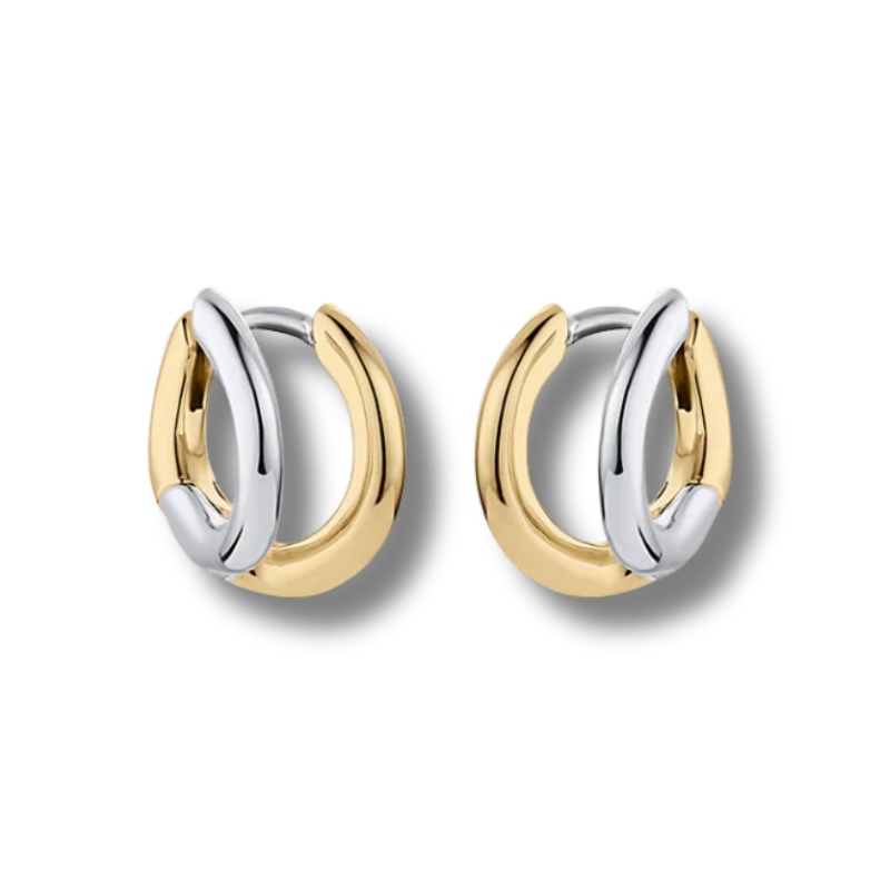 Silver and gold loop earrings