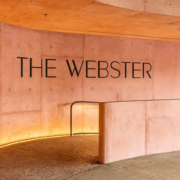 The Webster