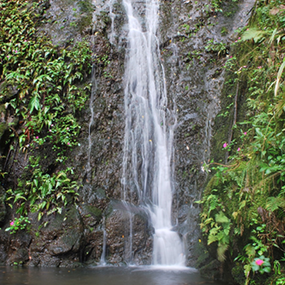 International Market Place WorldClass Shopping and Dining in