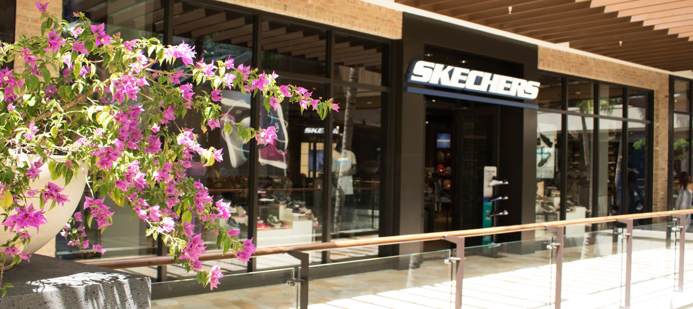 shop for skechers