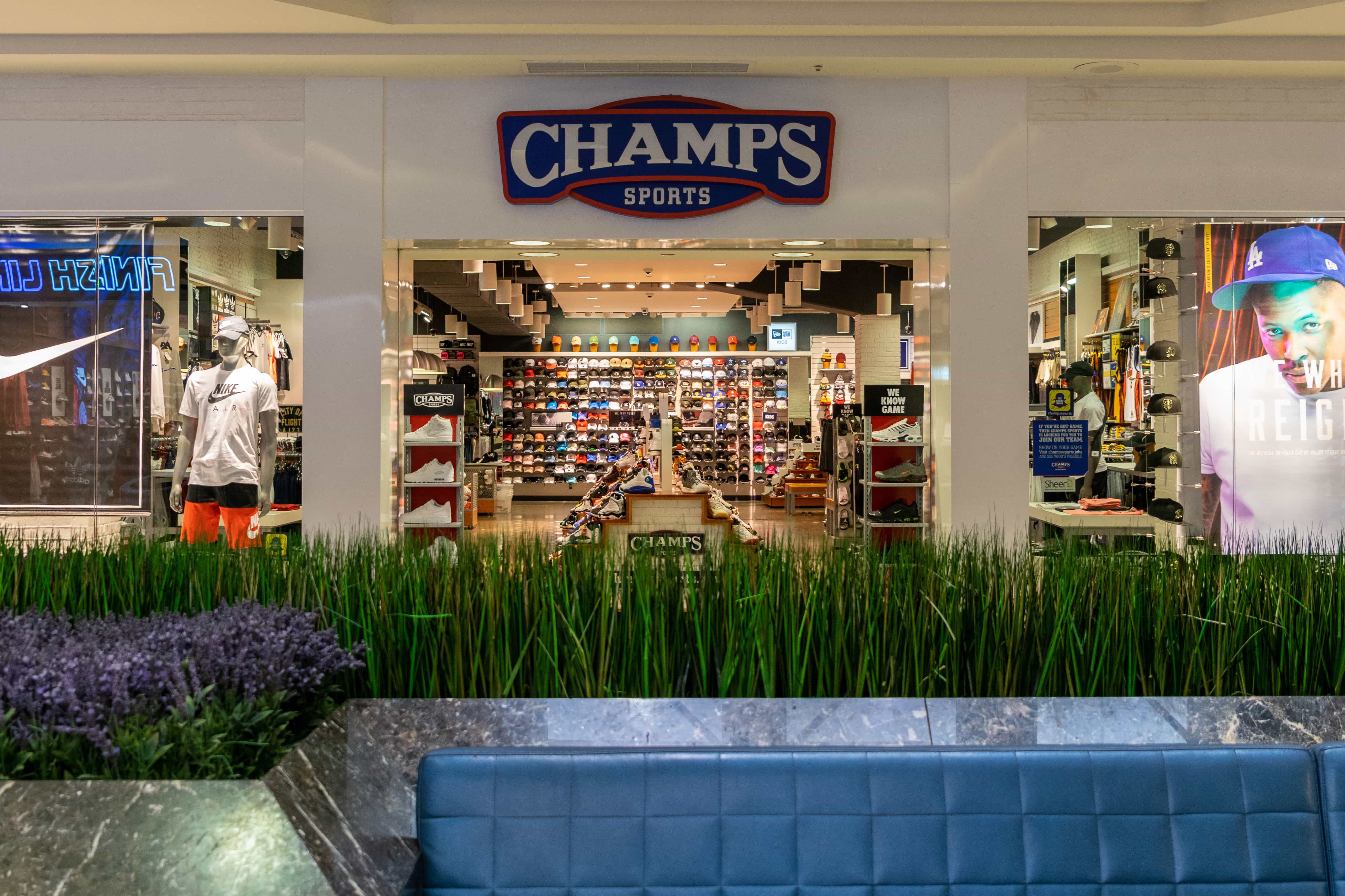 champs concord 11