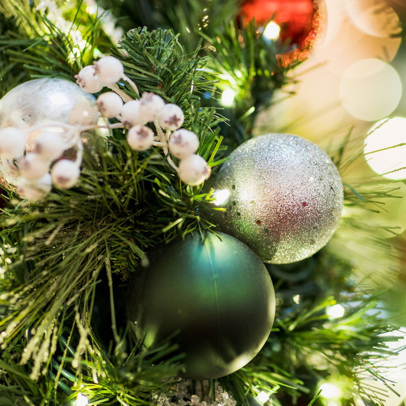 Dolphin Mall Miami's Largest Outlet Shopping and Entertainment