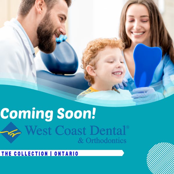 Blogs The Collection