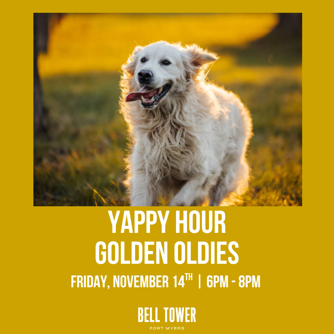 Yappy Hour