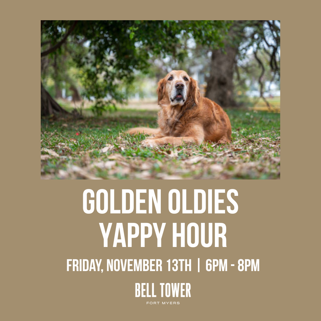 Golden Oldies Yappy Hour