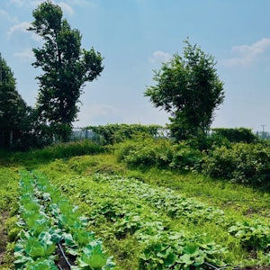 blog image