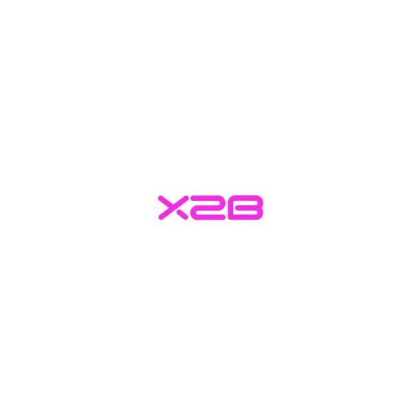 Logo for Chaussures X2b