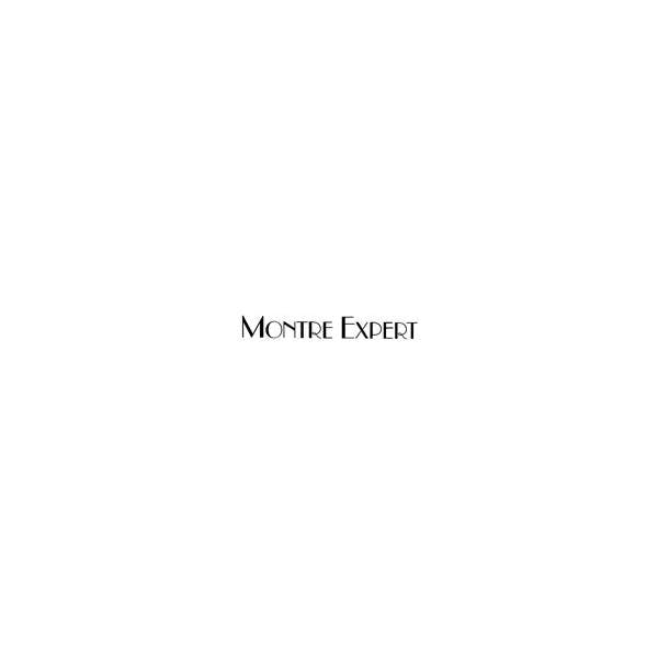 Logo for Montre Expert