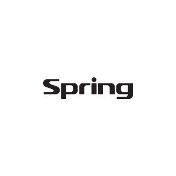 Logo for Spring