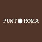 Logo for Punt Roma