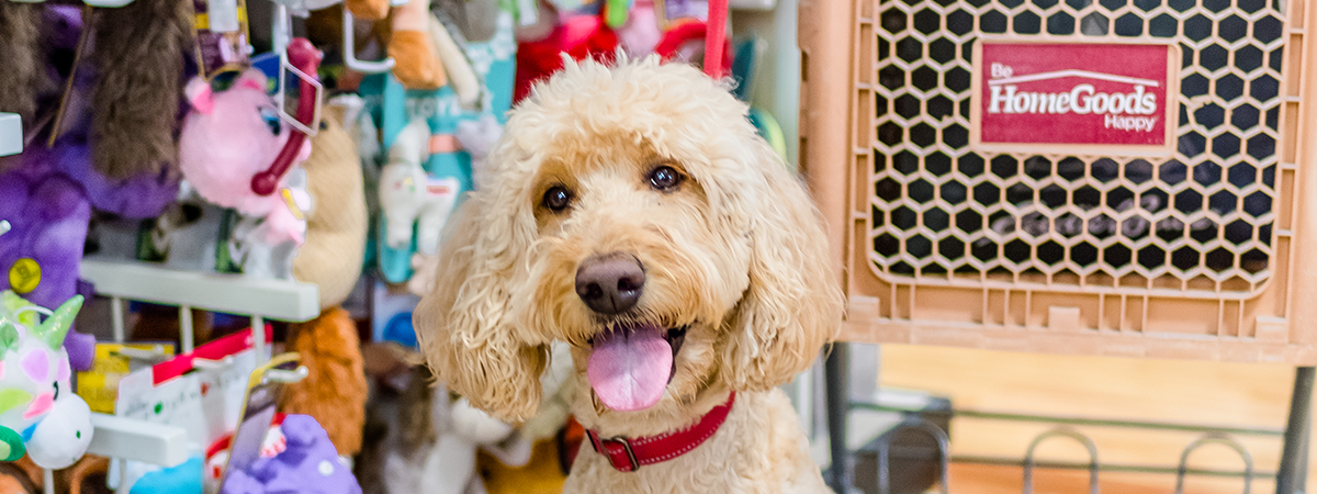 Home goods deals stuffed animals