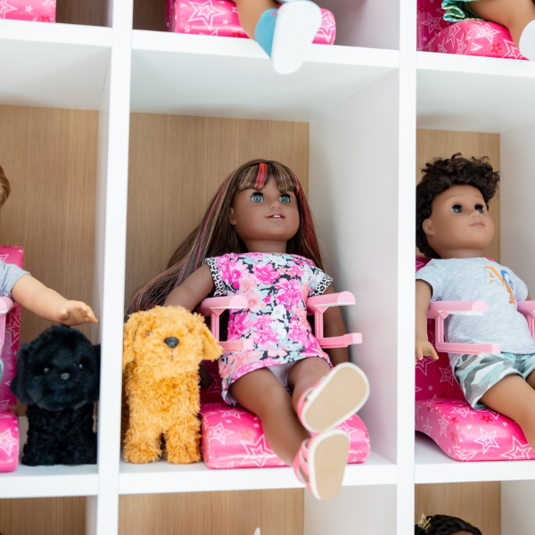 American Girl Pet Adoption Day page decorative banner image