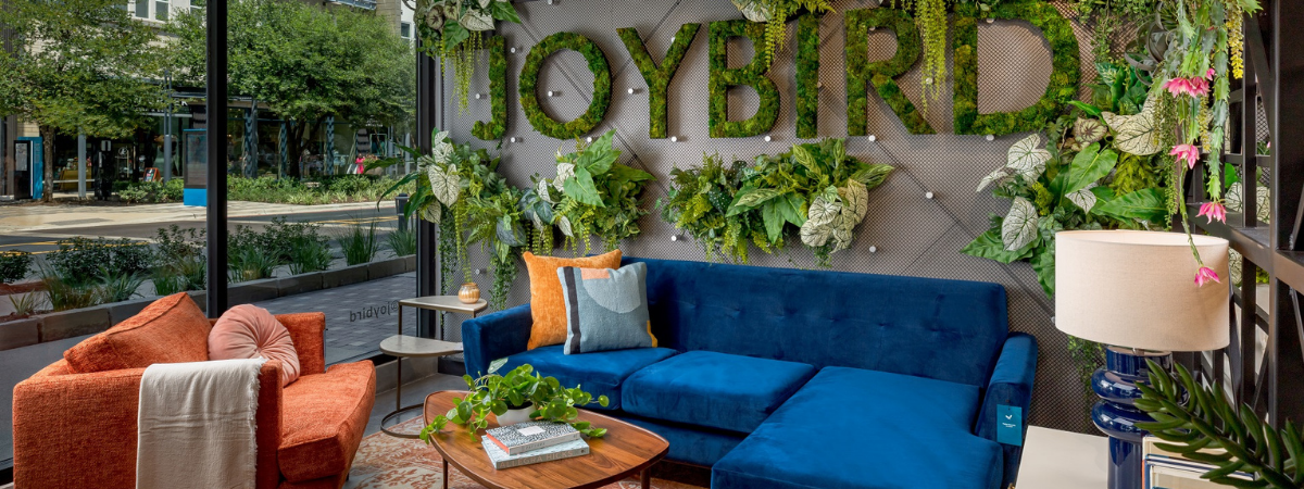 Joybird