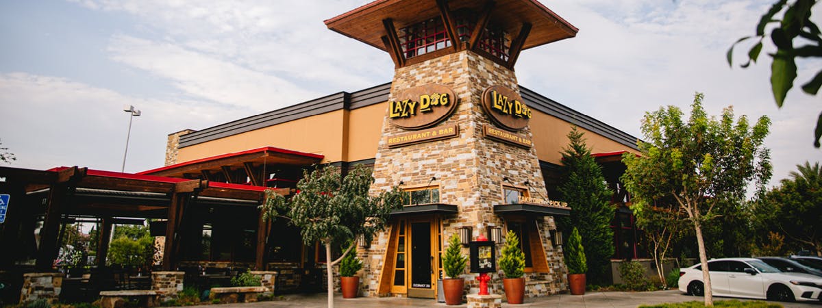 Lazy Dog Café