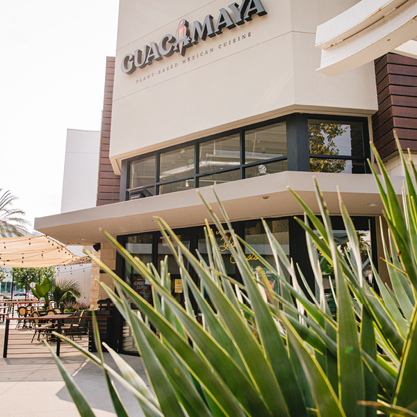 Promenade at Downey Adds Stores page decorative banner image