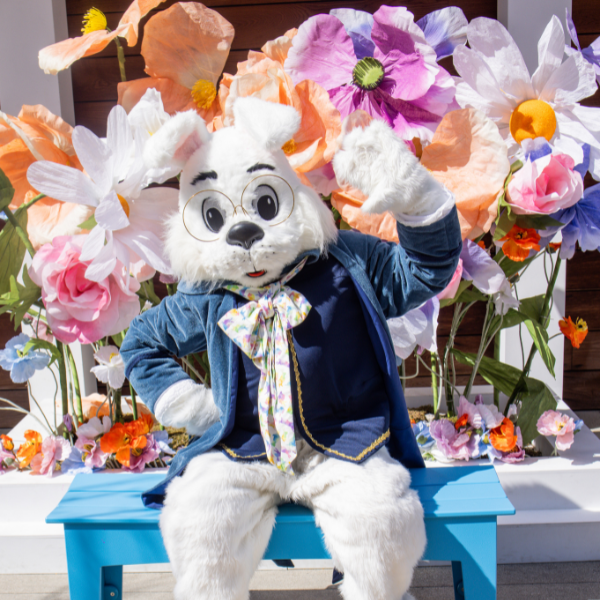 Spring Celebration page decorative banner image