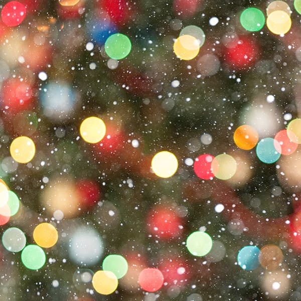Christmas Tree Wonderlights