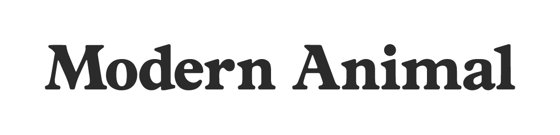 Modern Animal