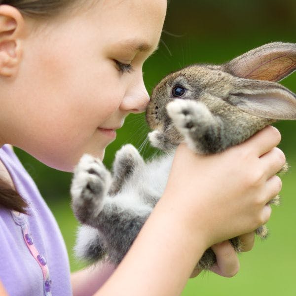Springtime Petting Zoo