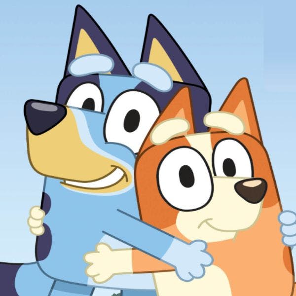 Meet Bluey & Bingo