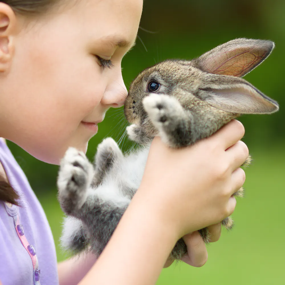Easter Barnyard Pals Petting Zoo