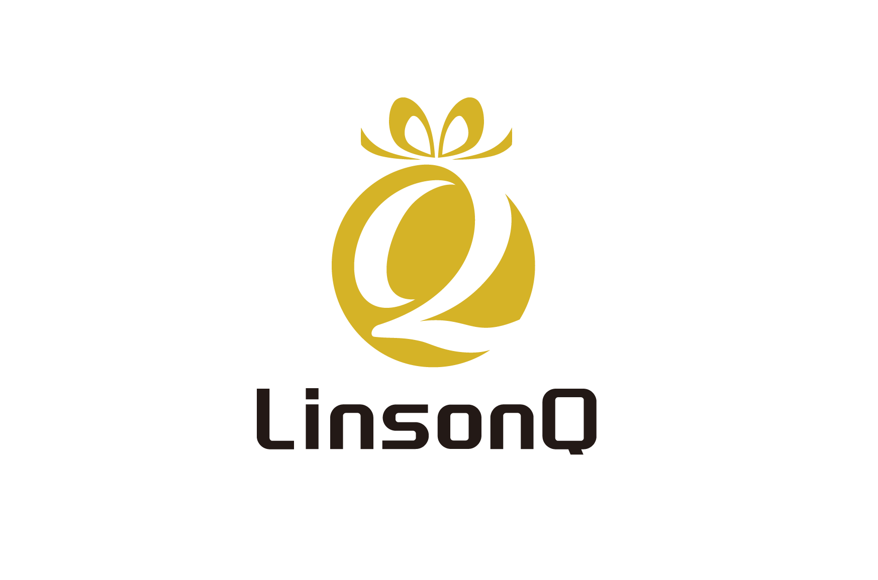 LinsonQ Gift Idea