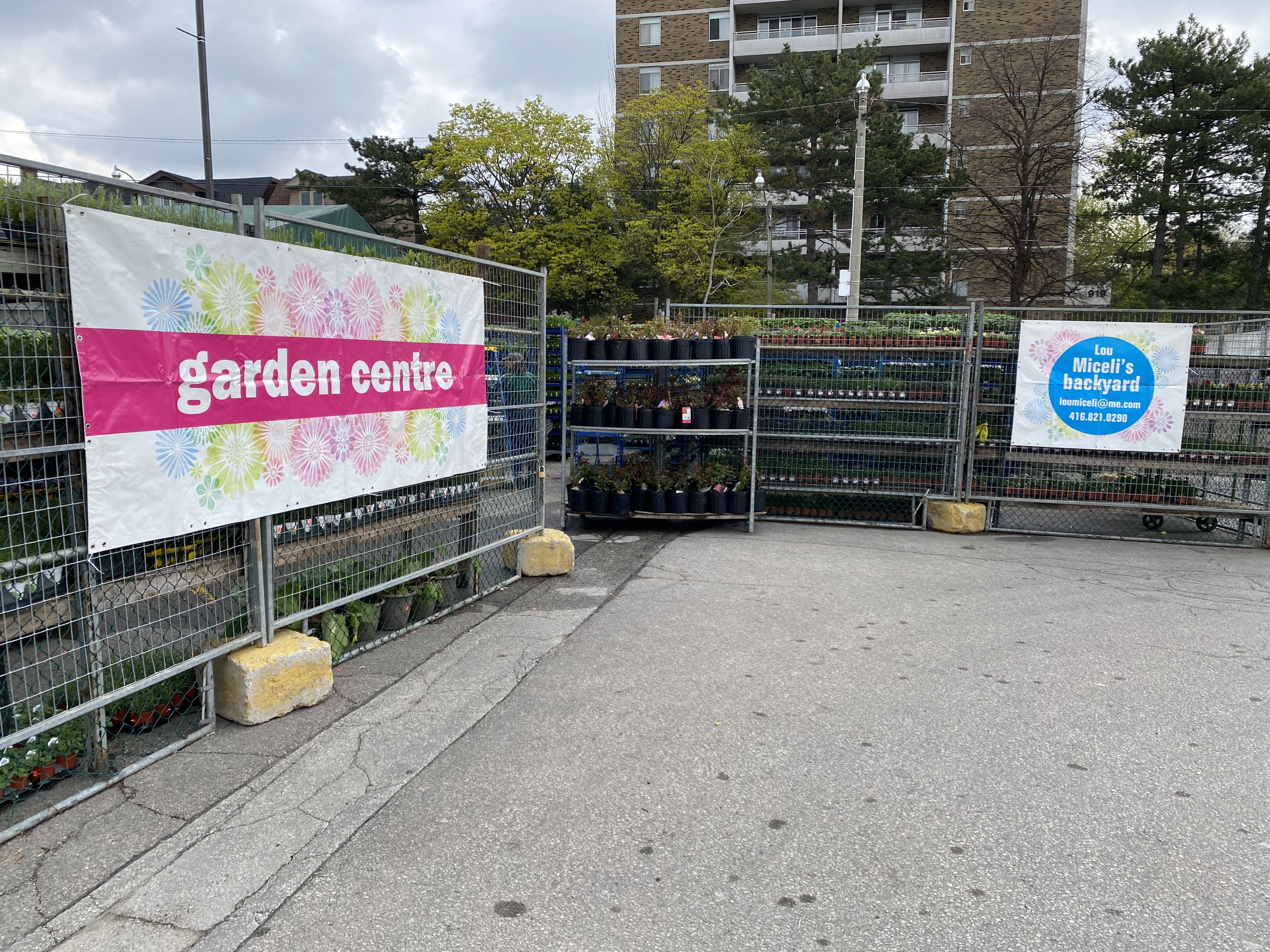 Lou Miceli's Garden Centre