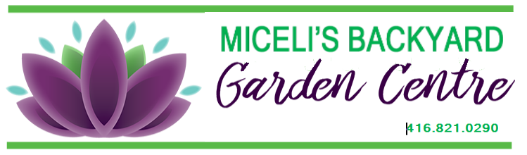 Miceli's Garden Centre