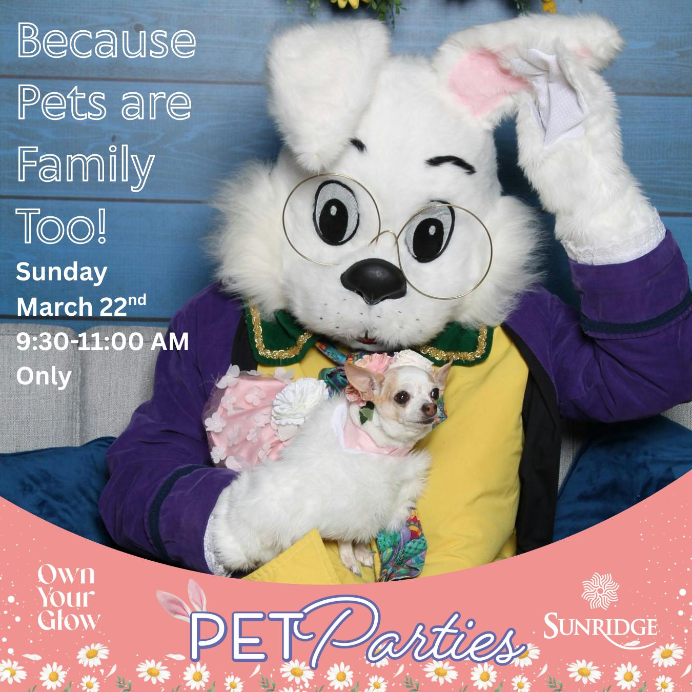 Pet Photos with Bunny