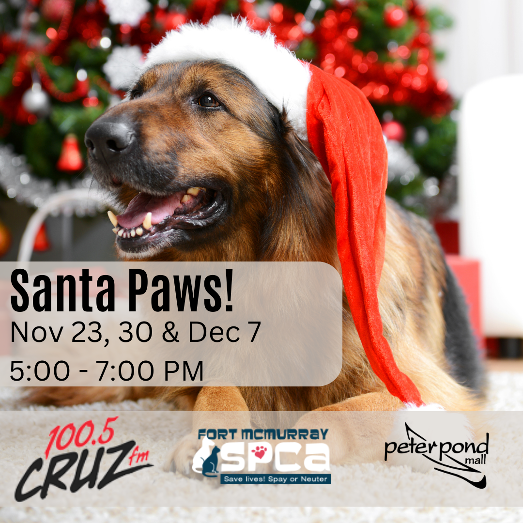 Fun Events and Store Openings Throughout the Year Peter Pond Mall