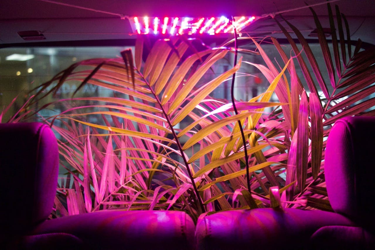 Events Conestoga Mall events-conestoga-mall