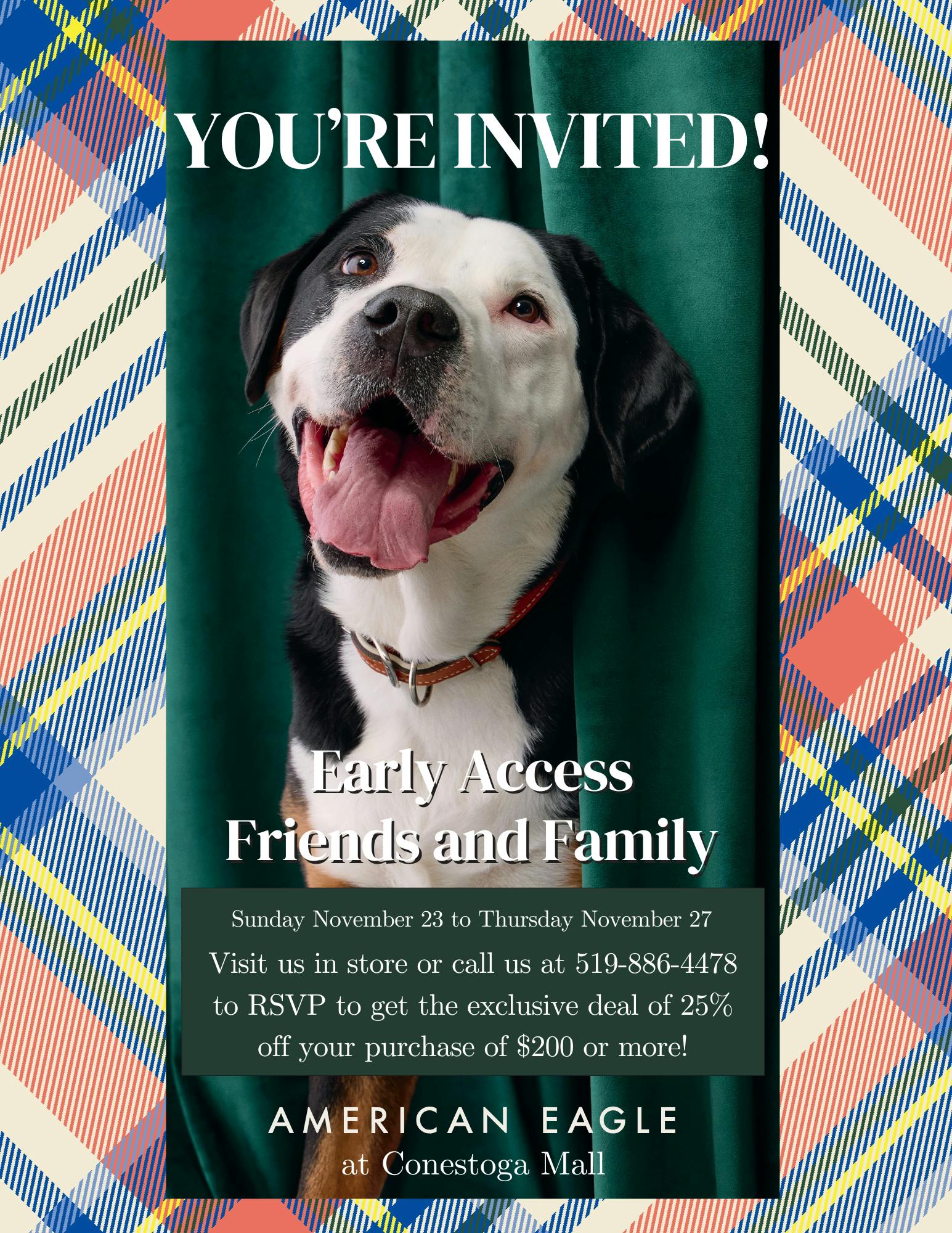 Friends & Family - Early Access Sale