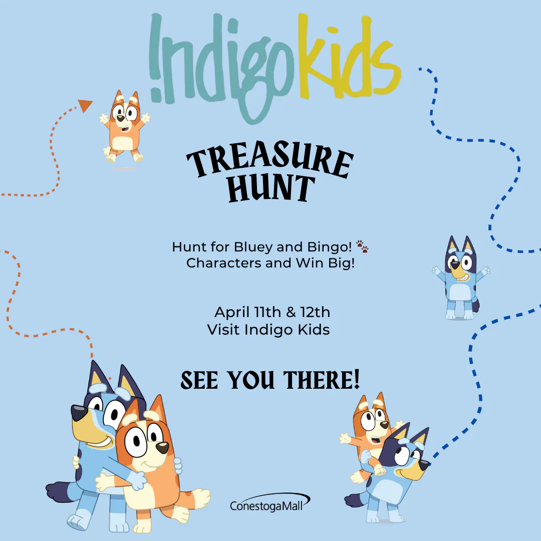 🔍 Bluey & Bingo Character Hunt at Indigo Kids