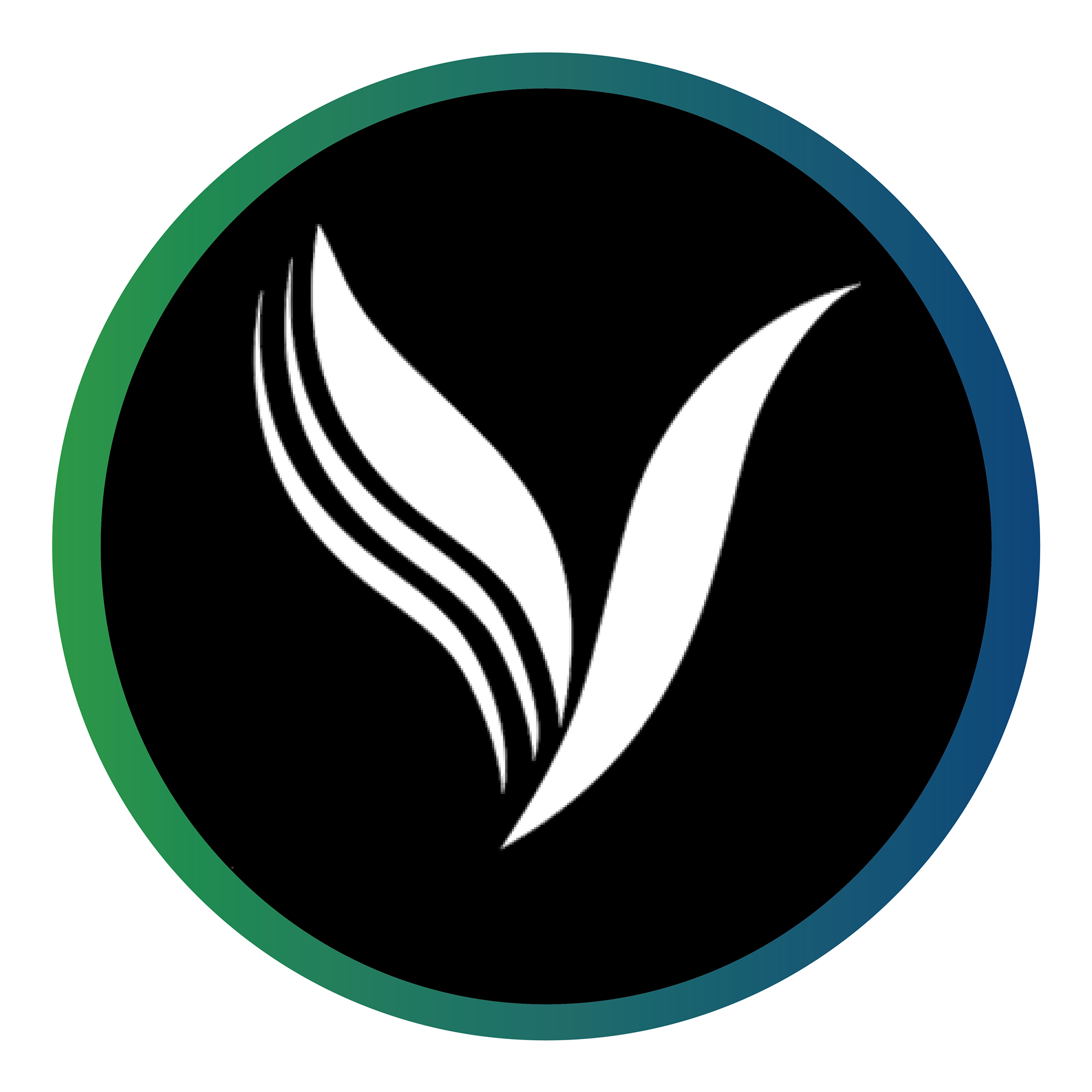 Kanata Vitality Physiotherapy and Wellness Centre
