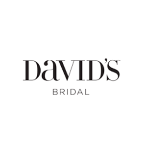 Evolution and History of David's Bridal and Wedding Dresses