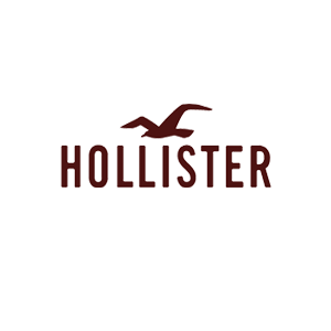 Hollister logo