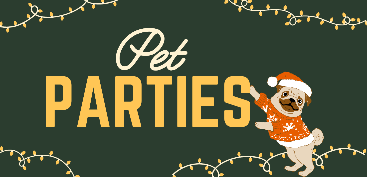 Pet Parties with Santa | The District At Green Valley Ranch