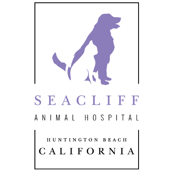 Seacliff Animal Hospital