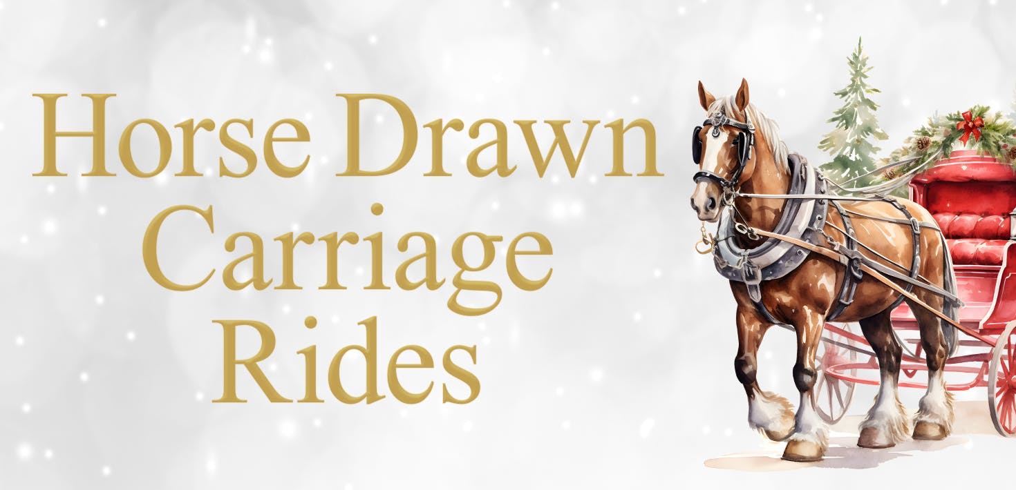Horse-Drawn Carriage Rides | Tivoli Village