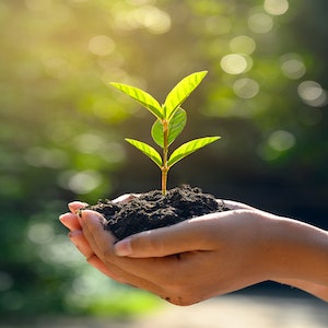 Eglinton Town Centre Sustainability Statement