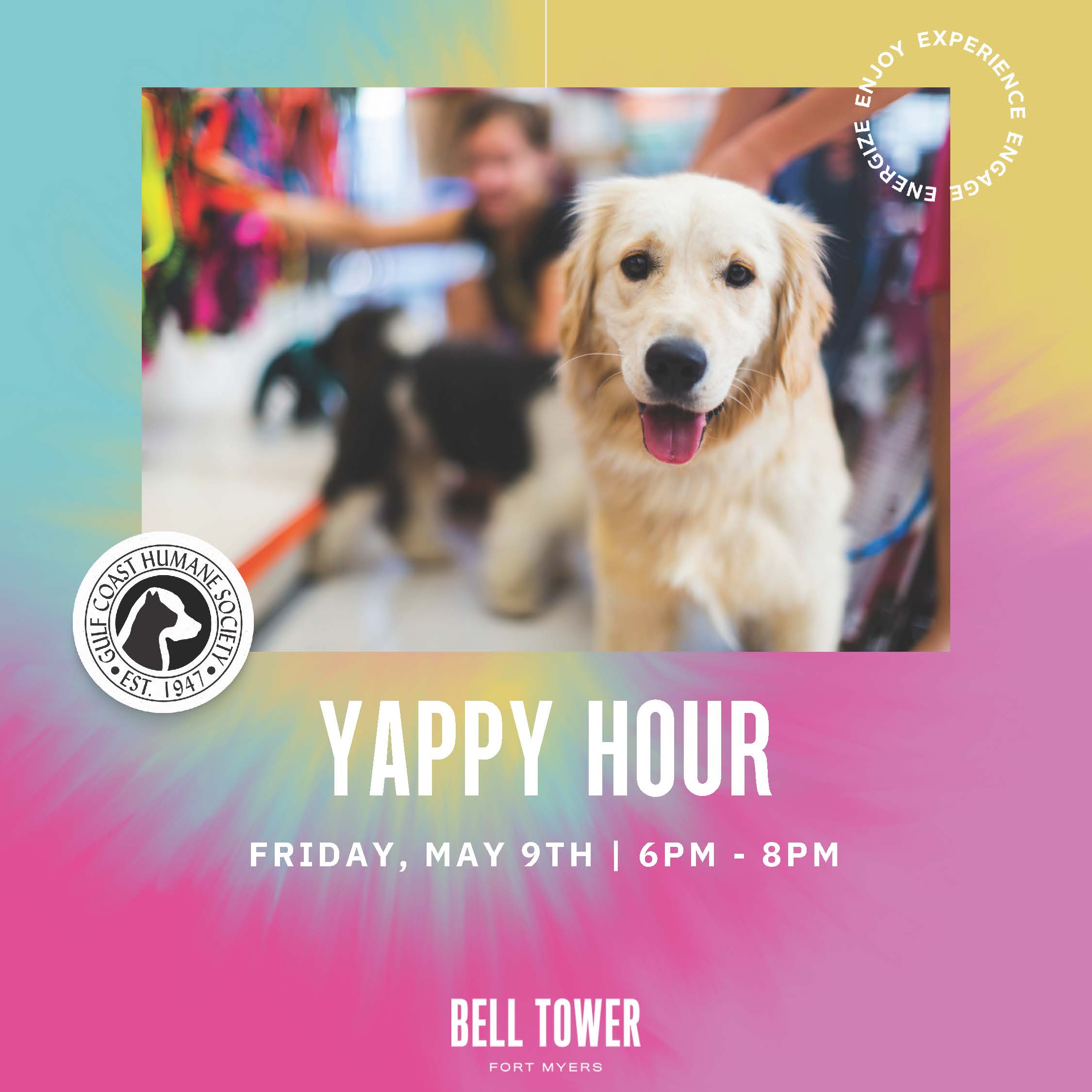 Yappy Hour