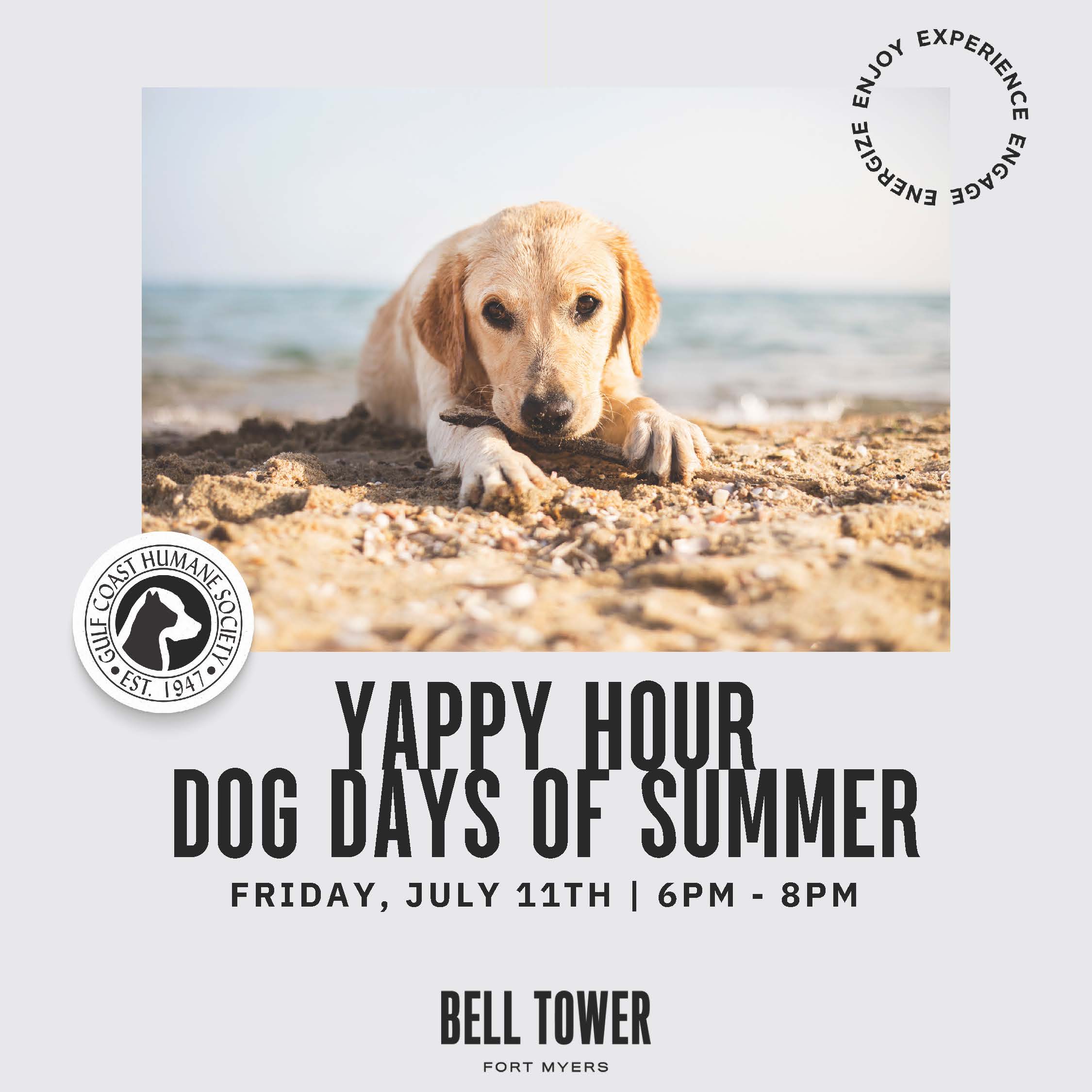 Yappy Hour - Dog Days of Summer