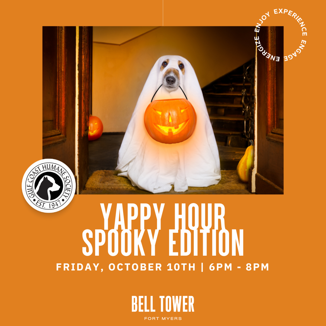 Yappy Hour