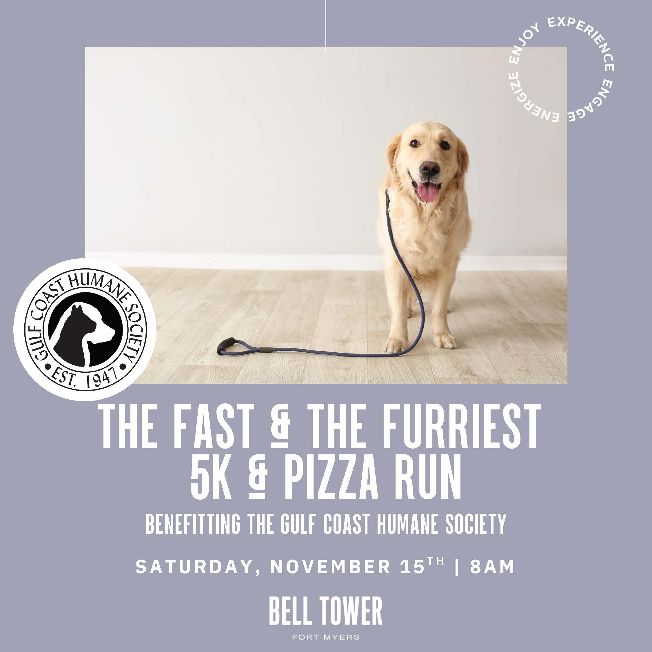 The Fast & Furriest
