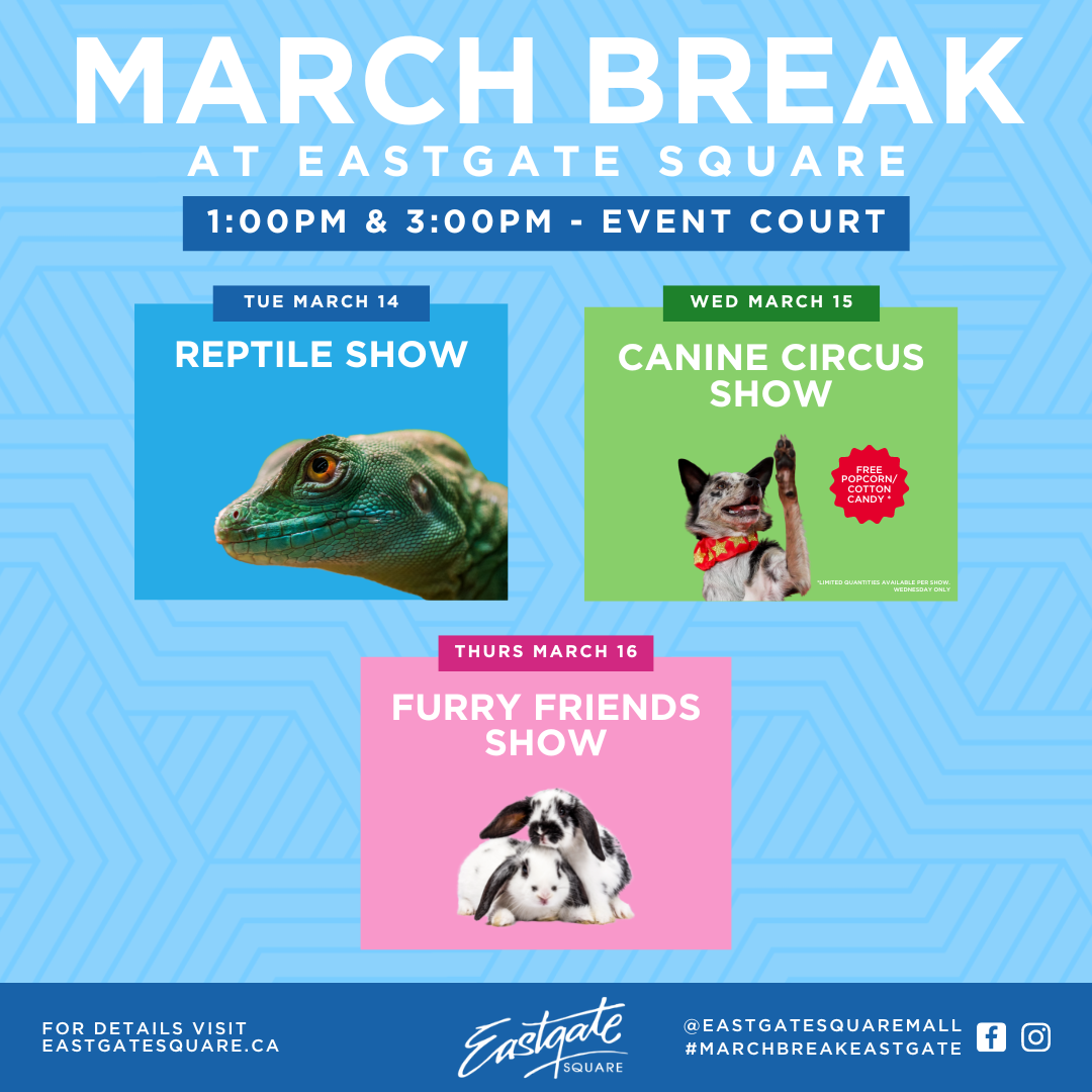 March Break Eastgate Square Stoney Creek